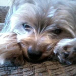 Meet your Posher, Tammy